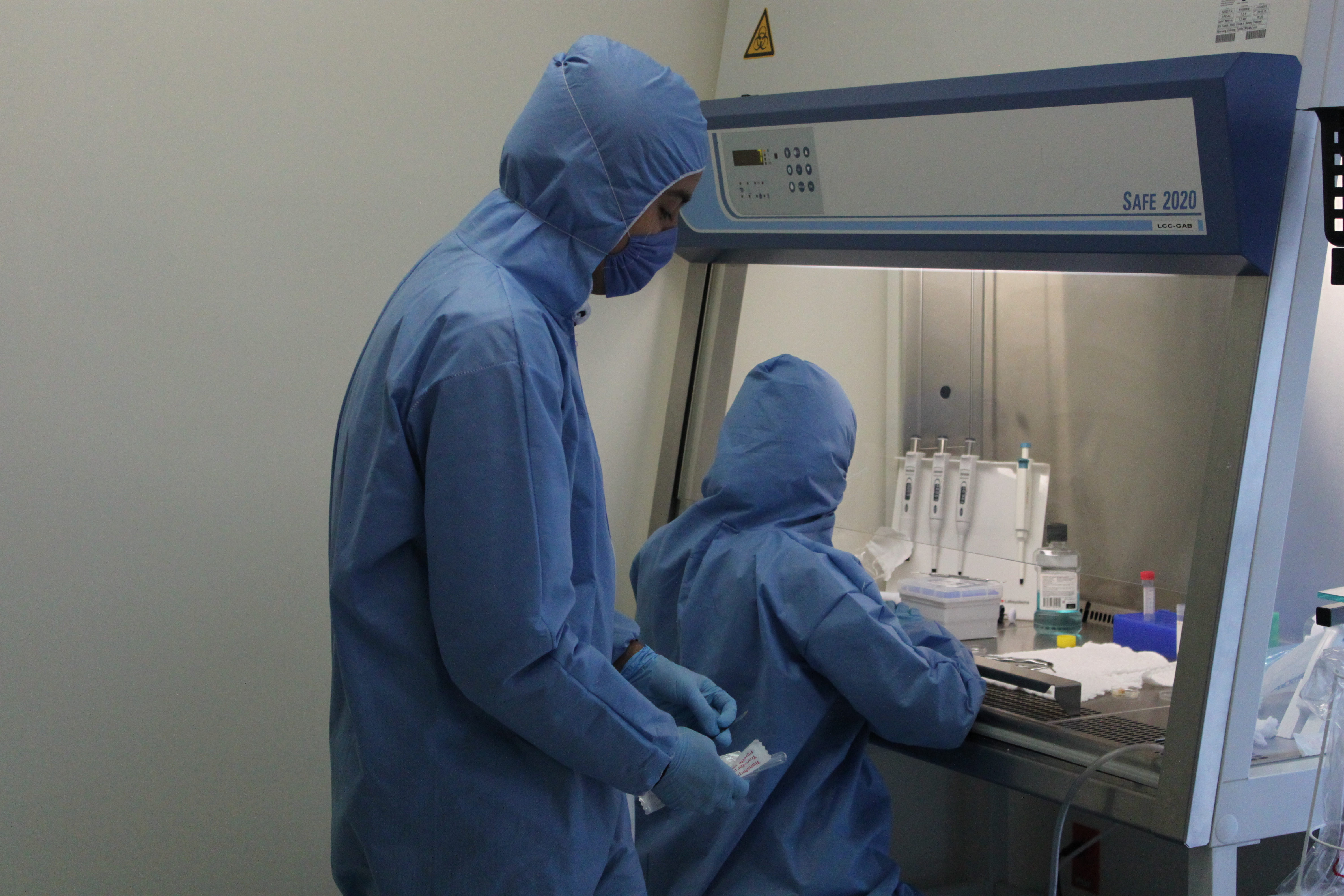 Técnicos en traje BSL2 procesando la muestra en campana de flujo laminar