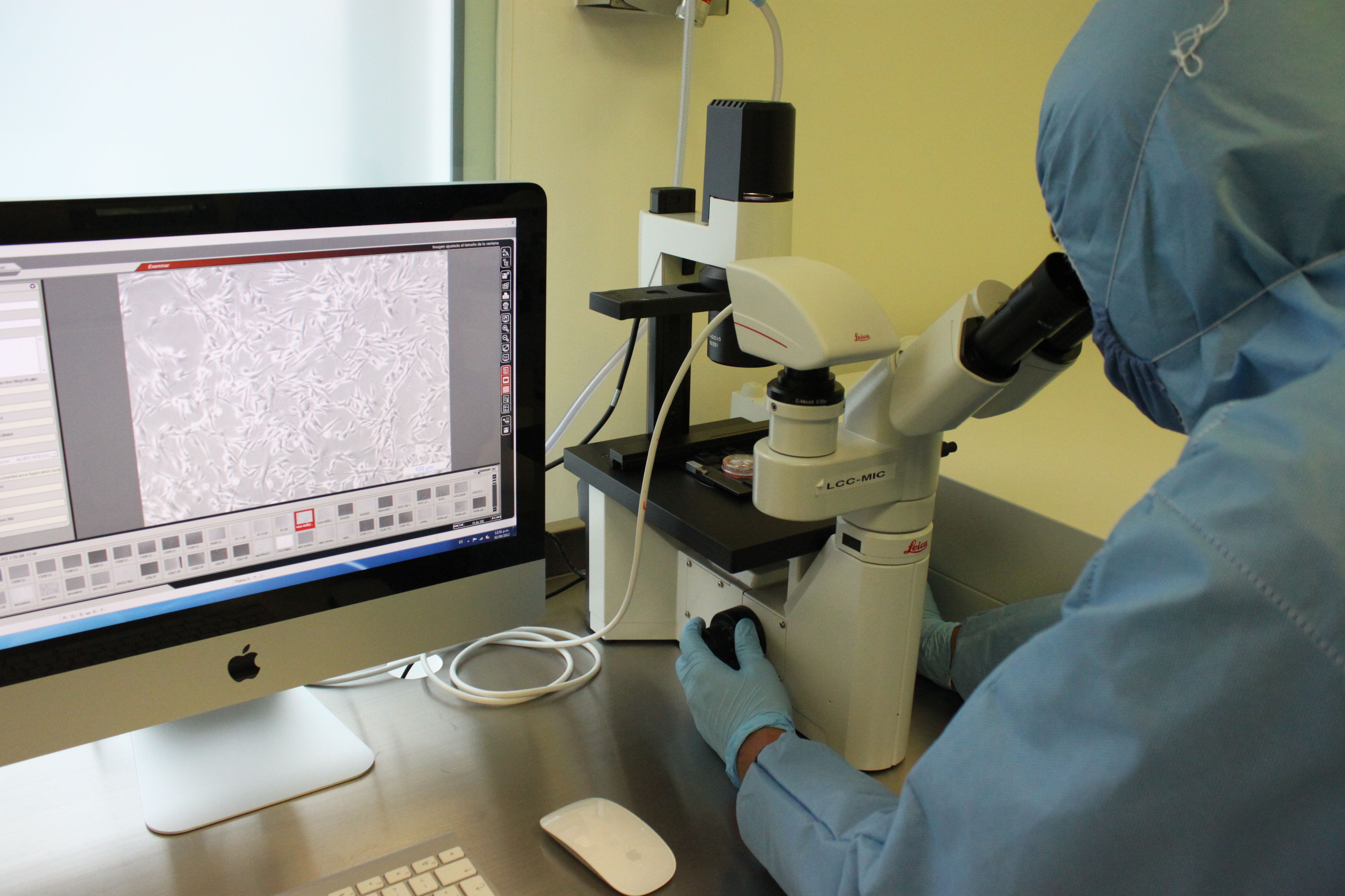Monitoreo de muestras al microscopio